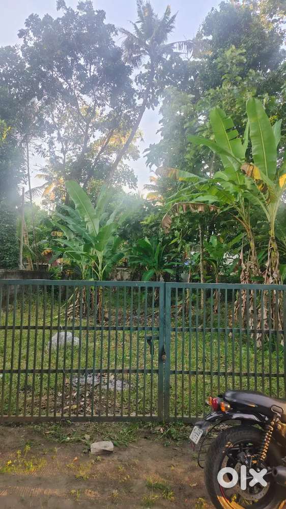 10 cent plot 390000/ cent