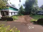 11 Cent Land - Karukutty, Angamaly