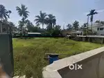 House Plots At Edavanakkad