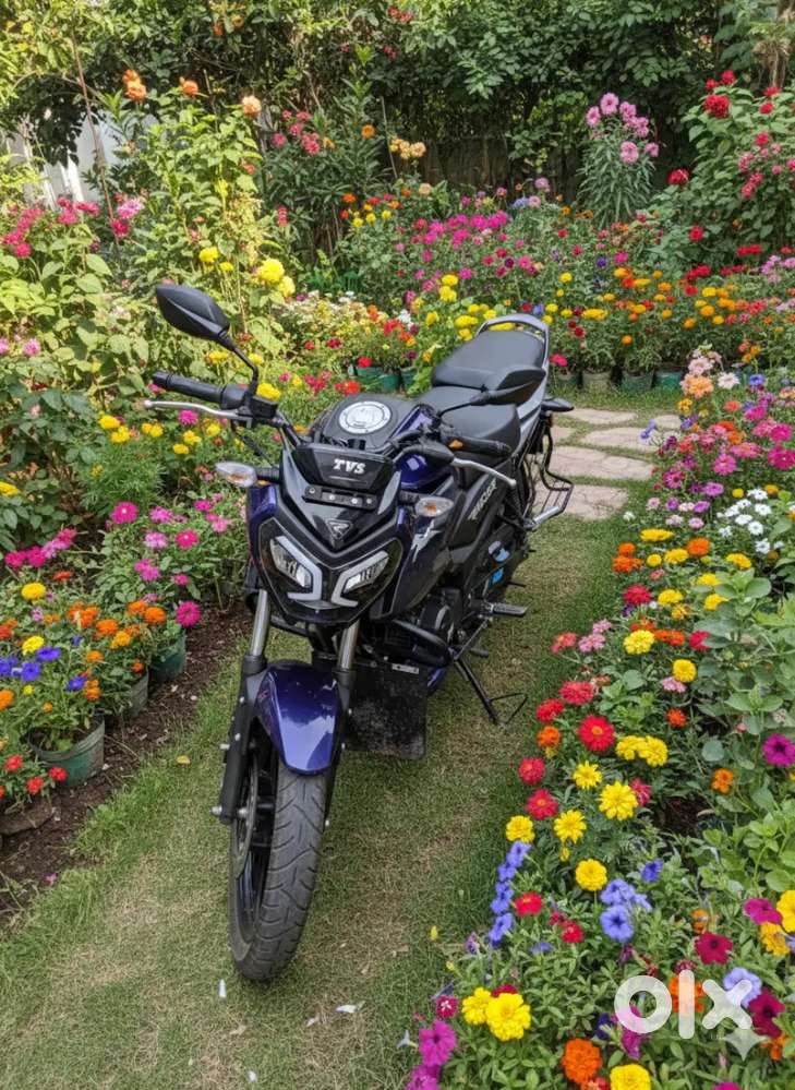 TVS Raider125 • Disc • Smart Meter • Laminated Body • Newly TVS Helmet