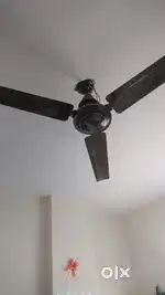 Brand new ceiling fan in excellent condition