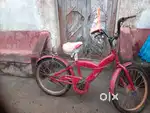 Old cycle Red colour