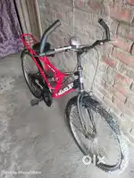 Cycle  for sell