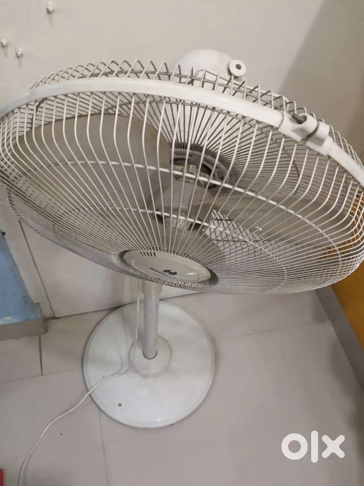 Havells stand fan-very good condition only 1 year old