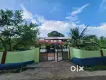 House & Fertile Land for sale / വീടും സ്ഥലവും വില്പനയ്ക്ക്