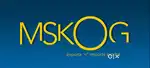 Looking for WEB DEVELOPER