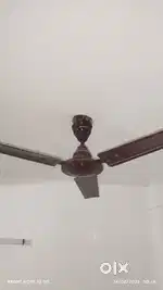 Bajaj Fan only 1000 rs