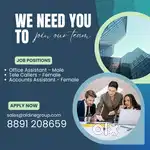 Office Assistant - Coodinator
