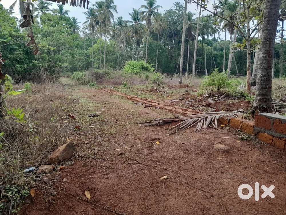 Residential plot for sale