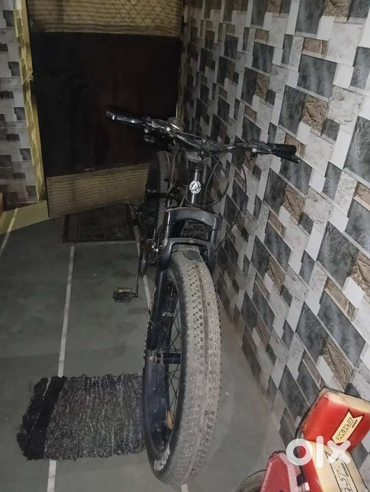 AVON FAT BIKE