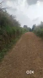 Hajira mansil valayidom nilamel p o kollam