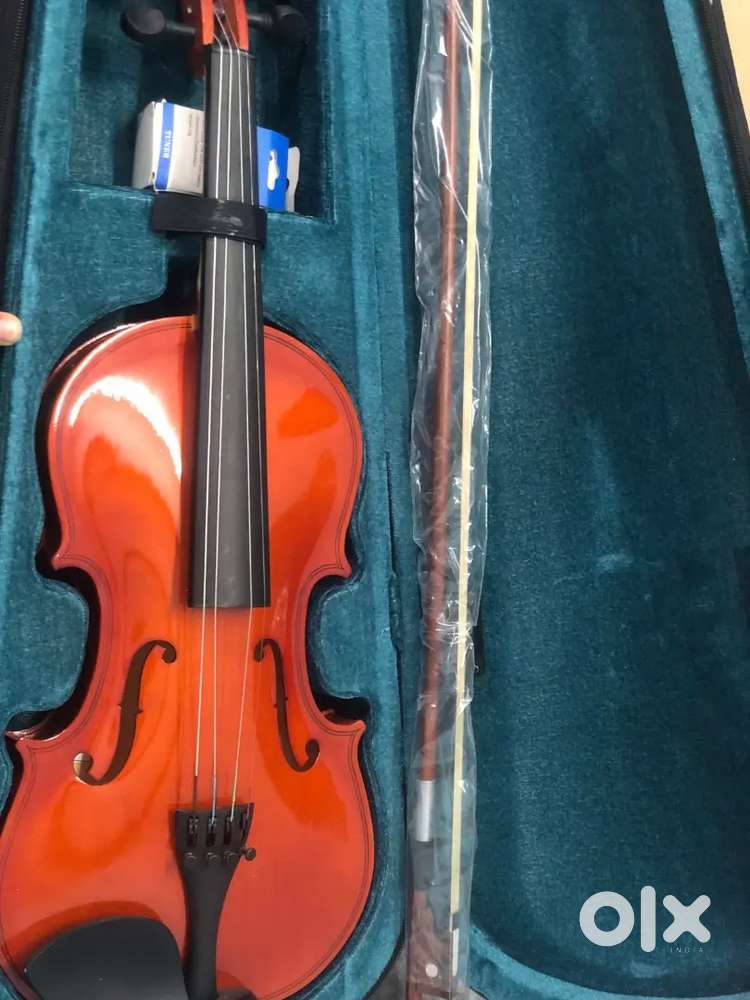 Violin music instrumental