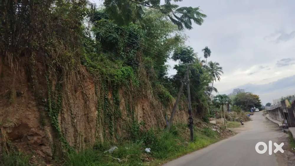 10 Acre Land for Sale opposite to Lullu Mall Tvm (Road Side)