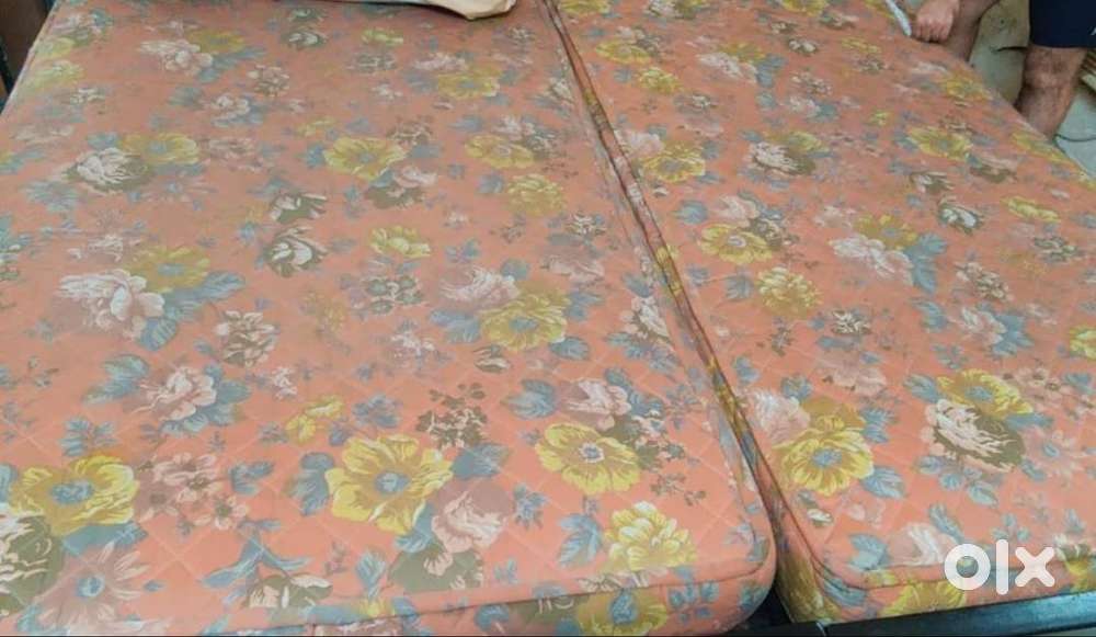 Coir Mattress