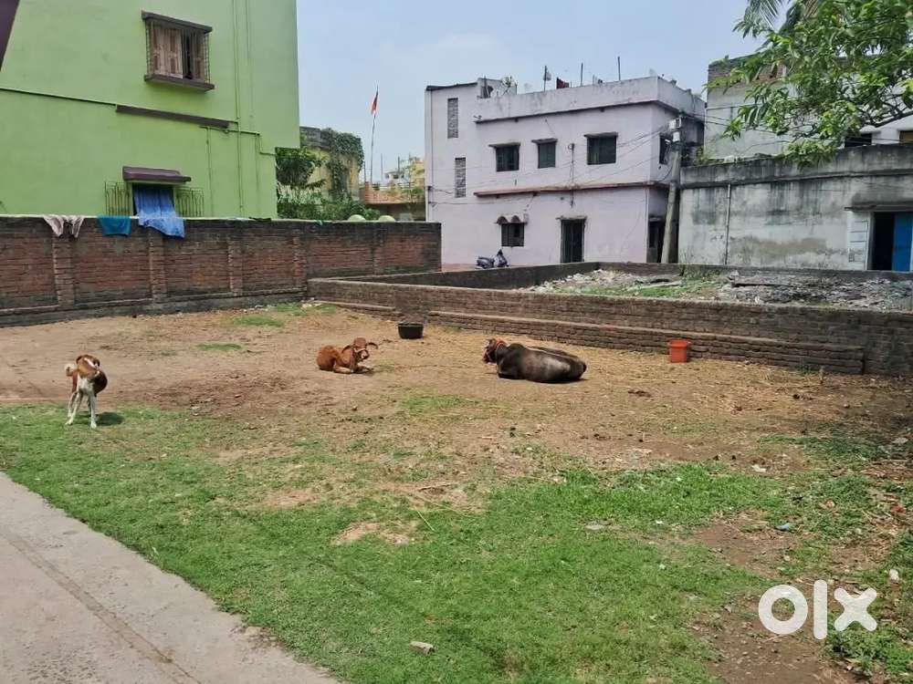 2 Bhattacharya Jamin 11 lakh per khatta..