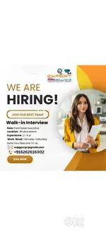 Senior sales executive