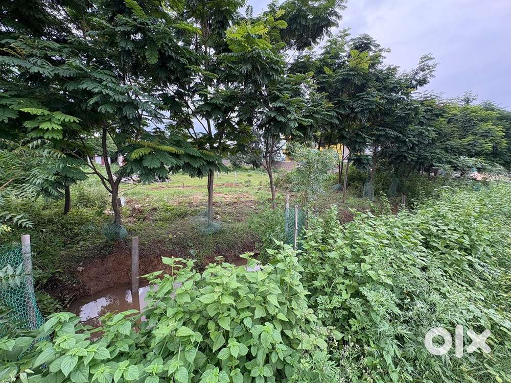 Gharbaadi plot for sale beside NH 143