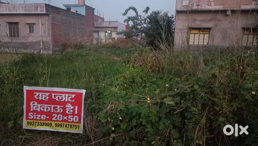 Urgent sell Plot in kali nagar (Rudrapur)