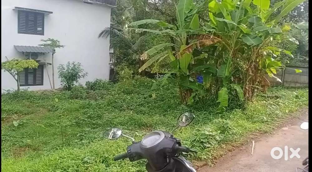 Plot for sale Md college near Rahmania and kovoor irigadanpally bypass