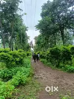 Plot for sale