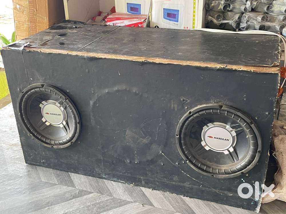 HAMAAN 10inch dual subwoofer with cabinet complete