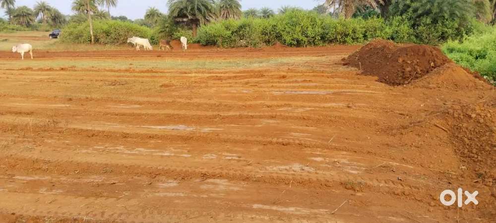 Cnt free land sell on near kamal katesaria school contact dhanbad prop