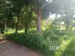 10.5 cents of commercial land facing bypass