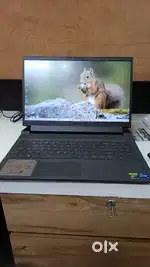 Dell G15 5530