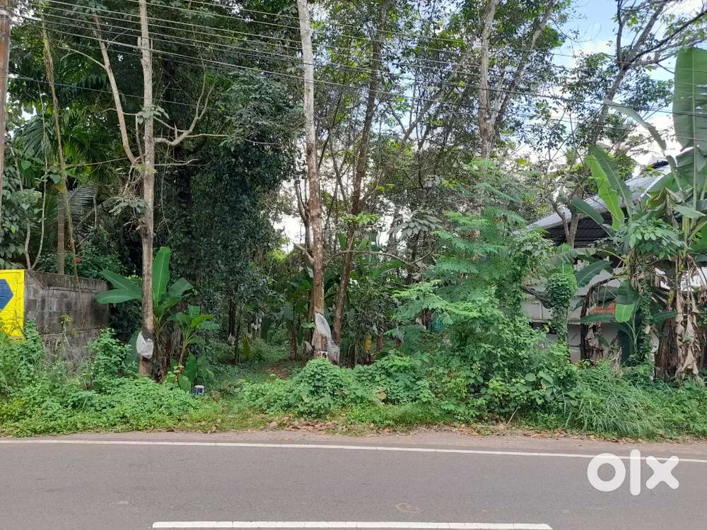 16 cent a road side plot for sale
