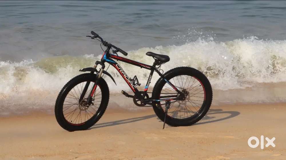 Cardiac fat tyre bicycle