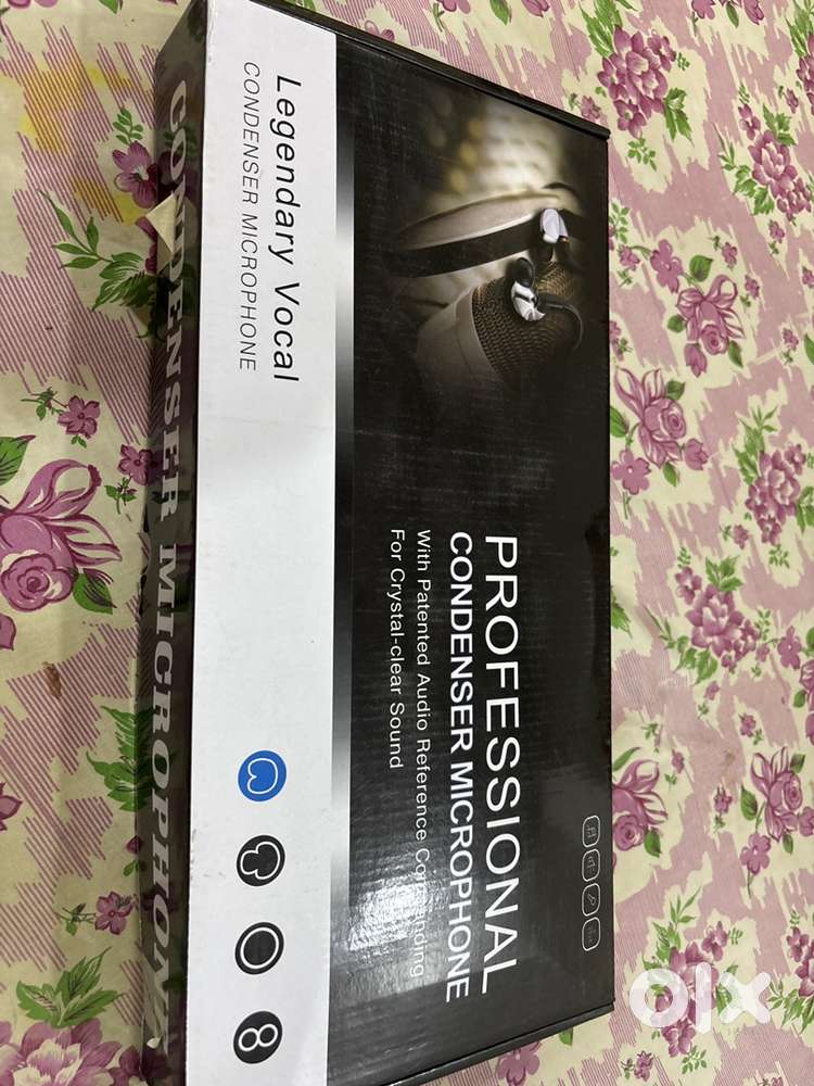 Professional condenser microphone