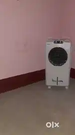 New cooler for shell