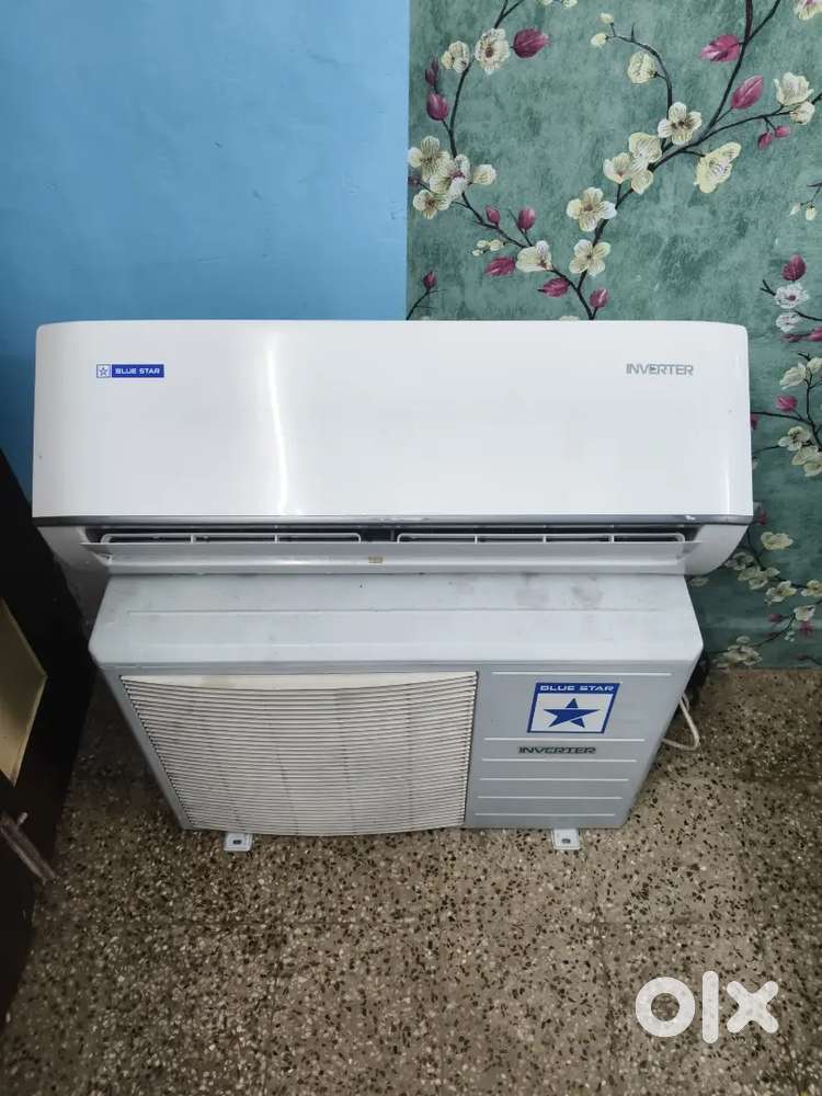 BLUE STAR 1.0 TON 2024 modal warranty available