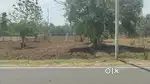 Total 2.80 acre sell near by kesinga dumermunda rupra pwd road side