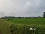 Panchagan nuasadaka re 500 miter bhitaraku road side jami