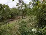 1 Acre Land for Sale in Belthangady