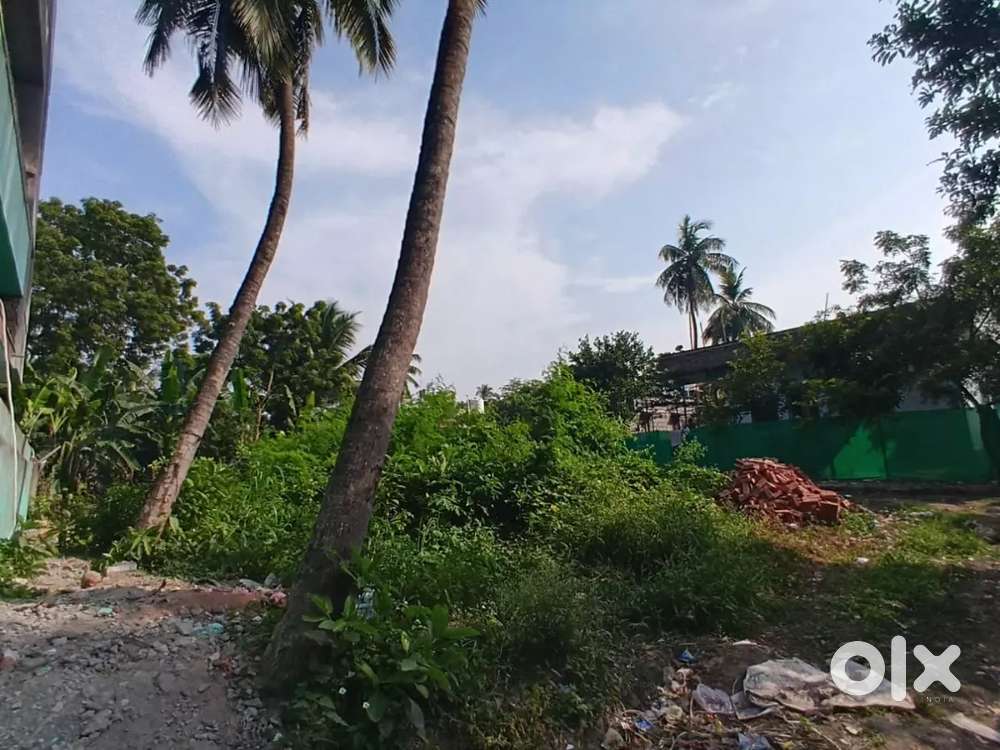 Land for sale , attili pedda peta ,mms school area