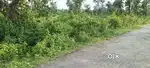 8 डिसमिल जमीन  सेल
