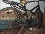Bicycle Sale