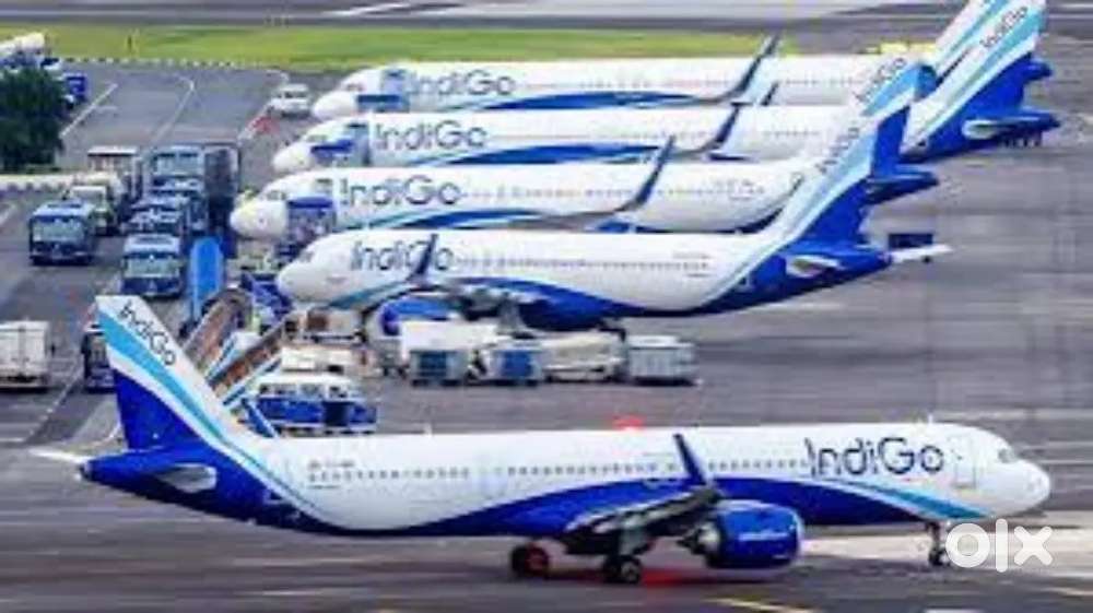We are for the Indigo airlines. Fresher can apply urgent Hiring