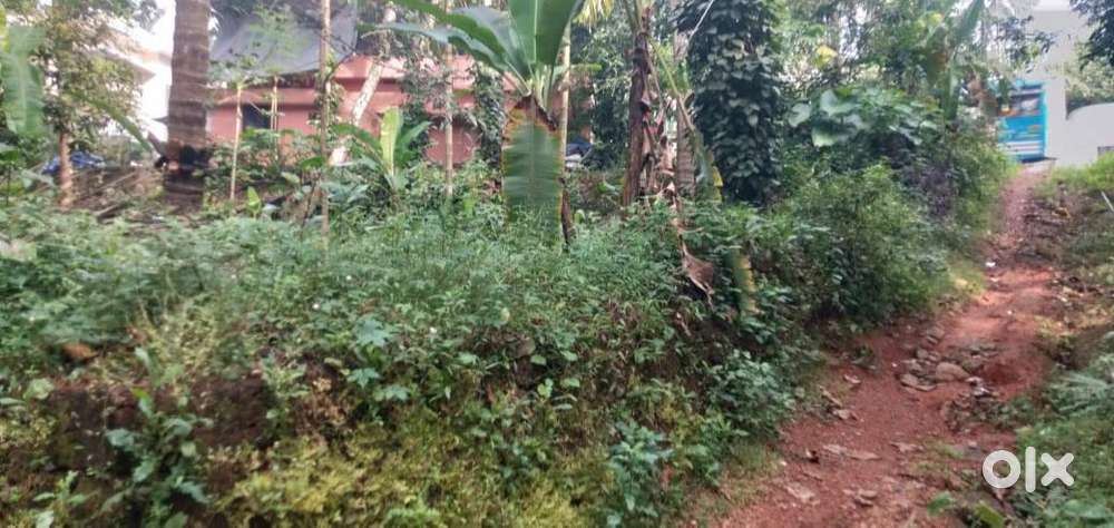 12 Cent Plot for sale @ Kunnamangalam