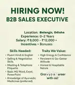 B2B SALES EXECUTIVE