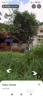 House with plot for immediate sale (13 cent)