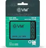 EVM SSD 256 GB
