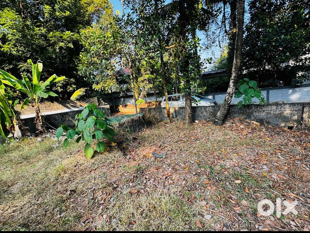 7 cent plot for sale