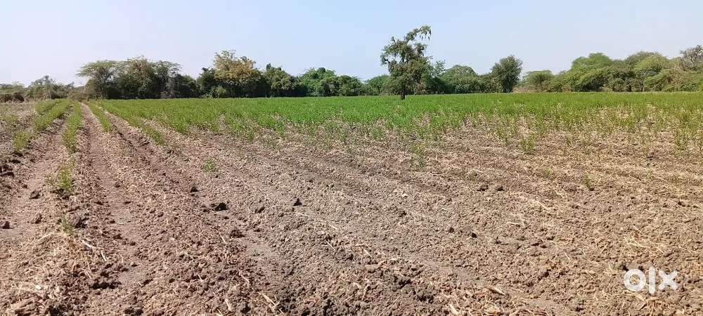 N.A LAND KUNDHELA DABHOI