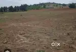 4 Acre land(1 Acre 6000000) in bolmandoddi upcoming project 4line road