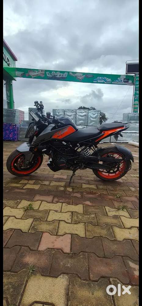 Fresh condition no scareshes