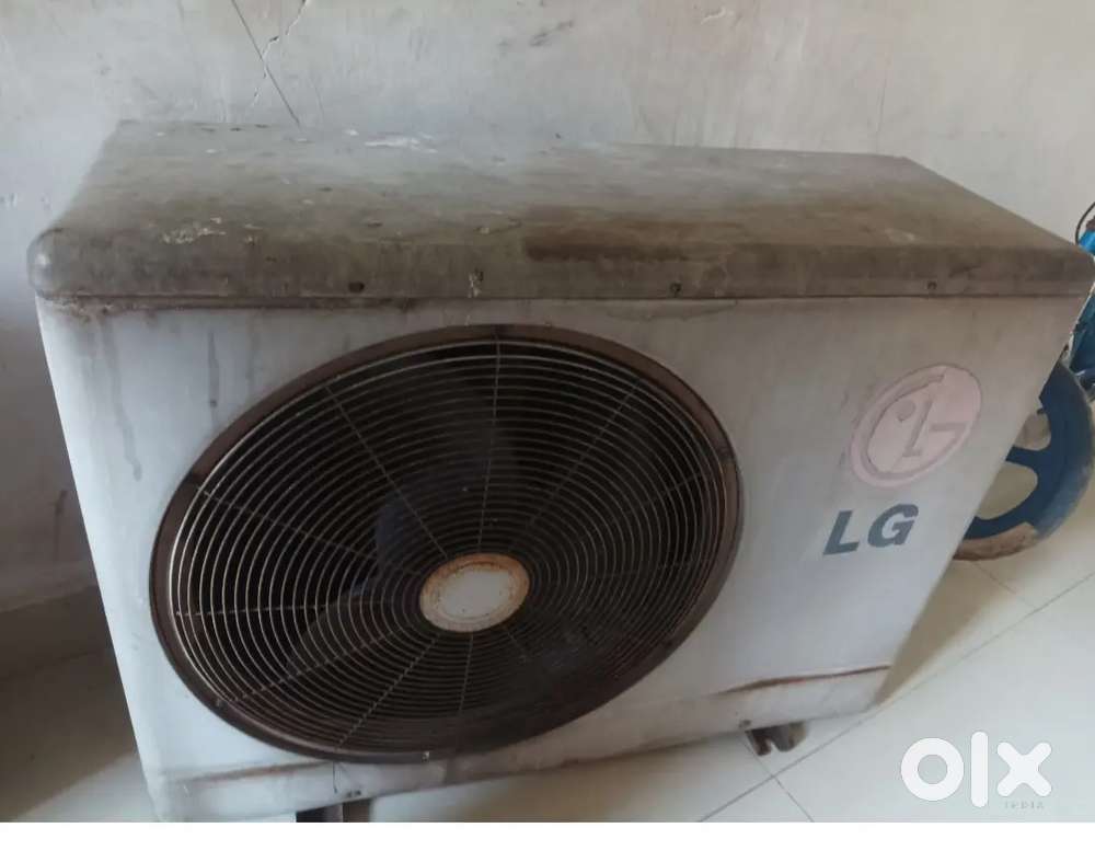 Cruse indoor lg outdoor 1.5 tan