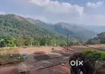 500 ACKRS COFFEE ESTATE FOR SALE